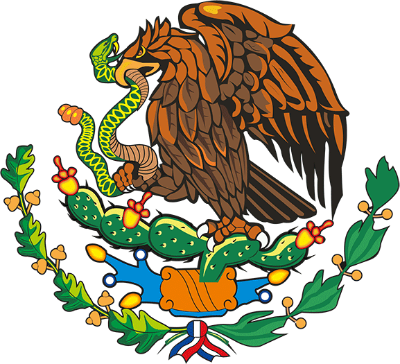 Top Rated IPTV Provider in Mexico