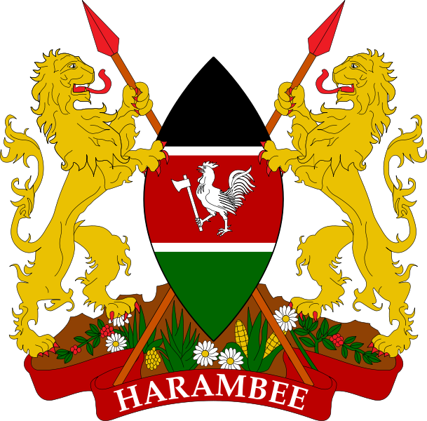 Reliable IPTV Subscription in Kenya