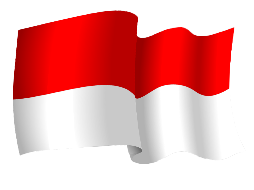 Order Fast IPTV Service in Indonesia